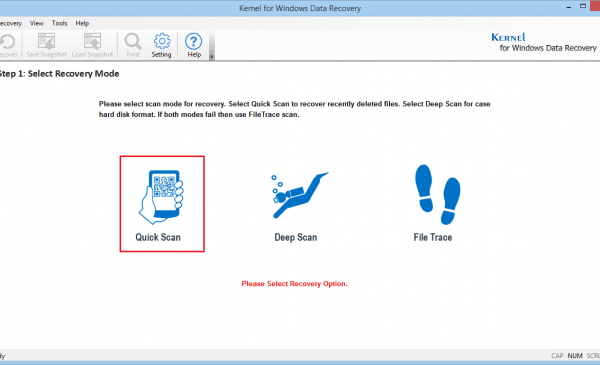 Windows Data Recovery Software